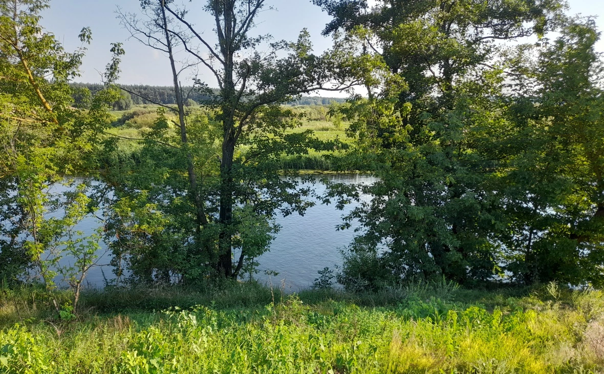 РБК Черноземье