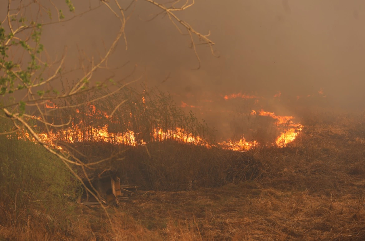 Екаьерина Сычкова / РИА URA.RU