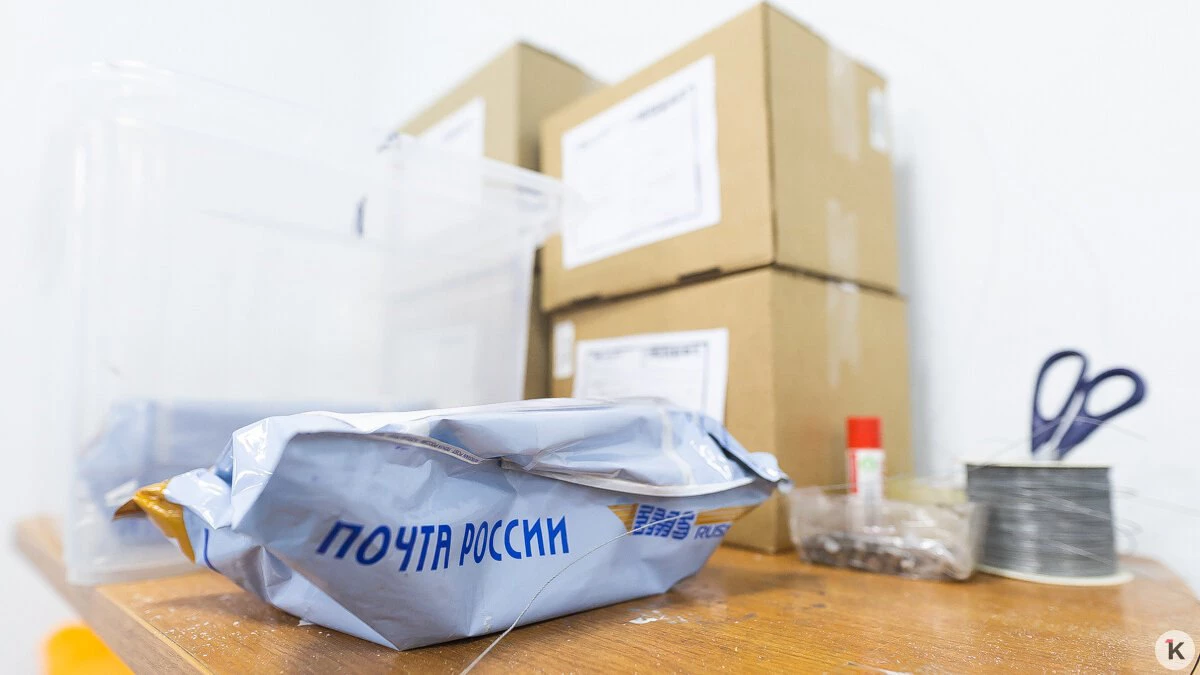 Александр Подгорчук