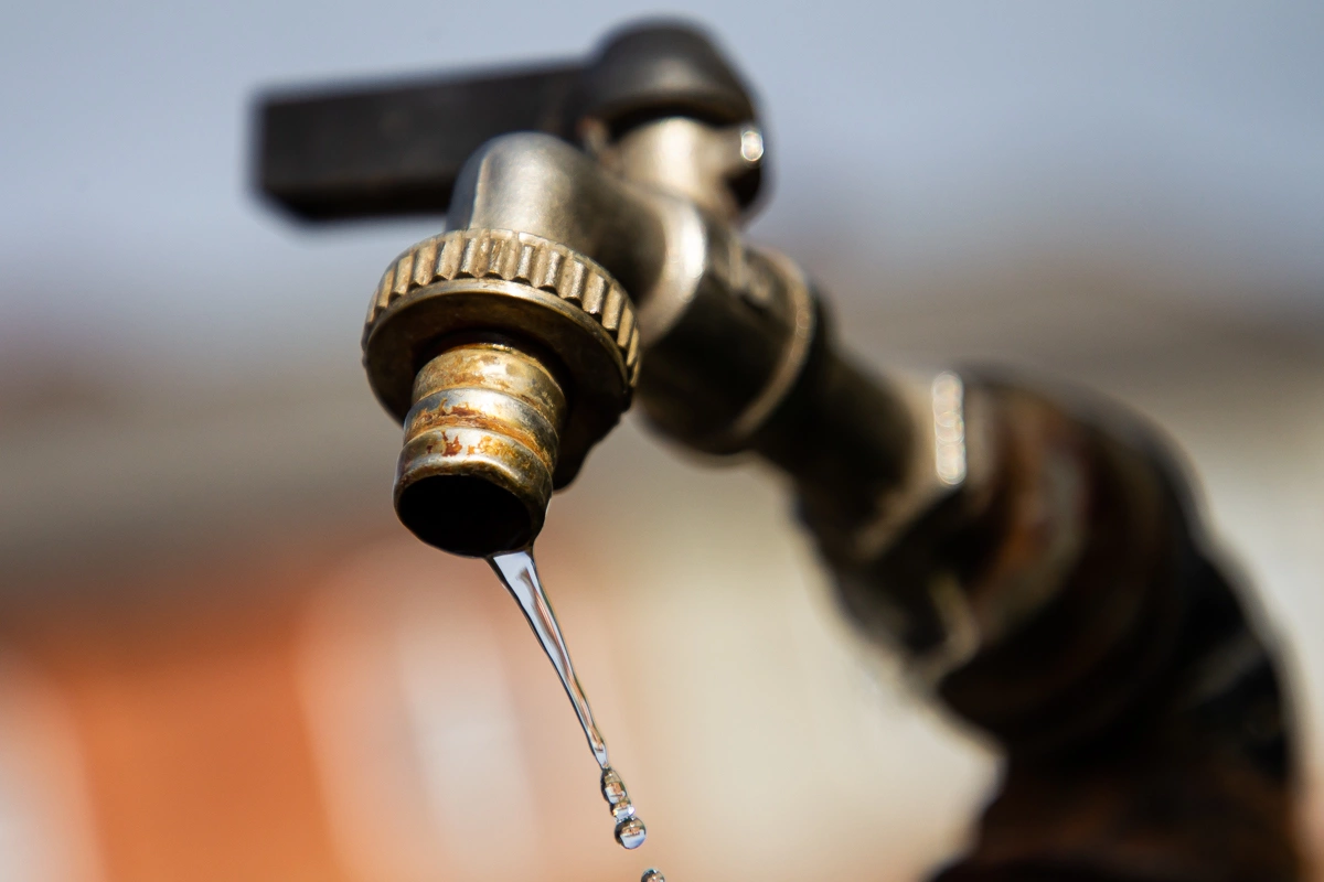 Александр Подгорчук