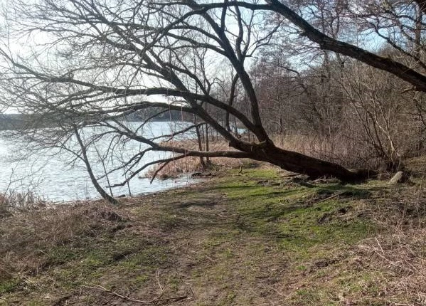 прокуратура КО