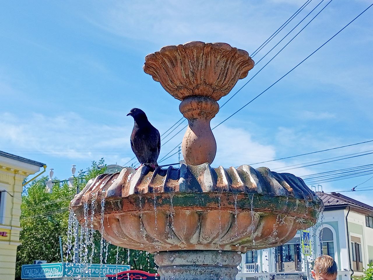 Фото: Алексей Коваленок / РБК Новосибирск