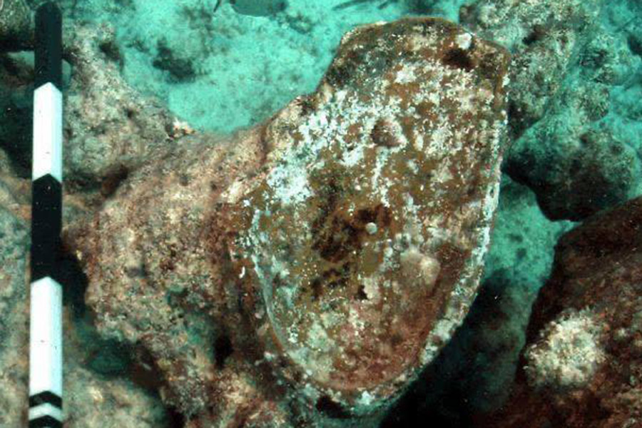 Фото: Министерство туризма и археологических работ Египта