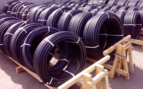 Фото: ООО «Пэтсиб»