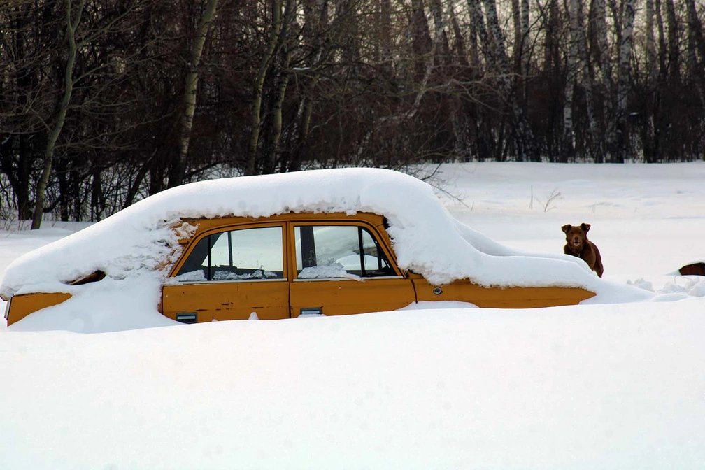 Юлия Майстренко / Om1.ru
