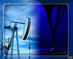 США планируют закупать весной до 100 тыс. барр. нефти в сутки