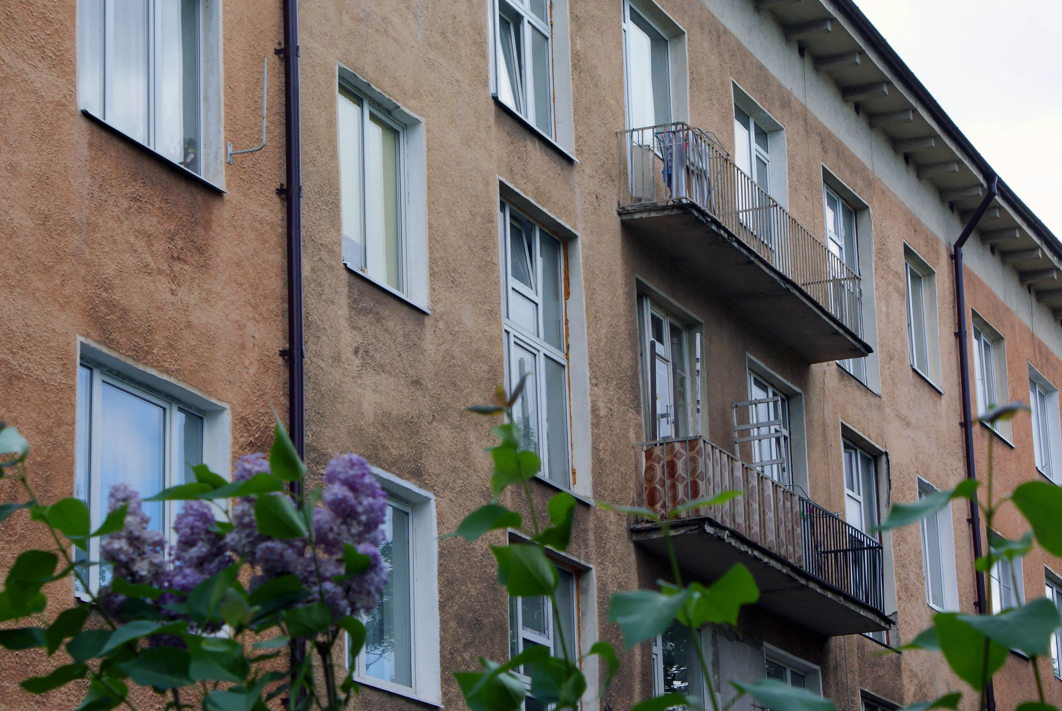 Александр Подгорчук