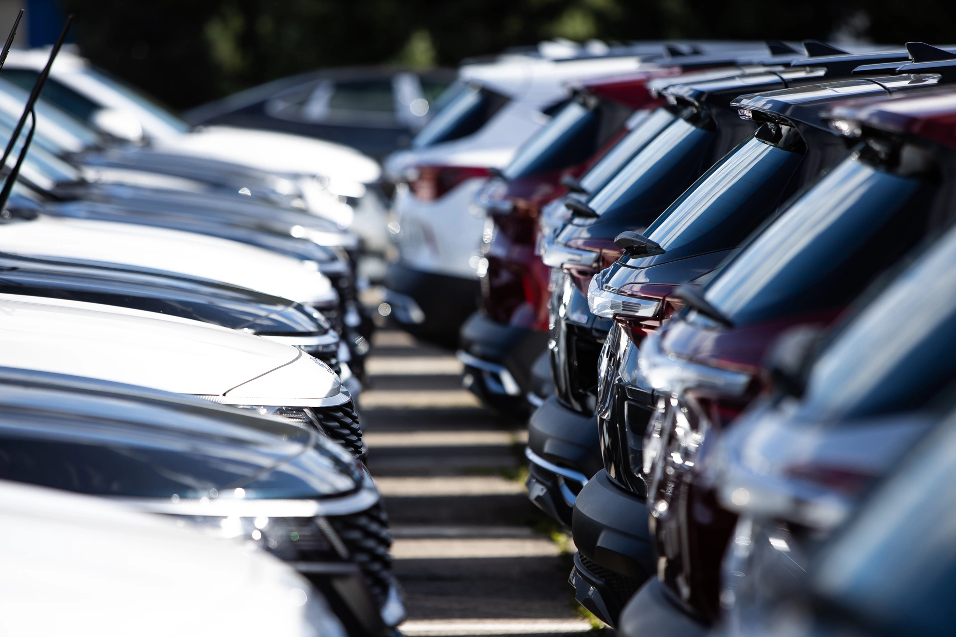 Александр Подгорчук