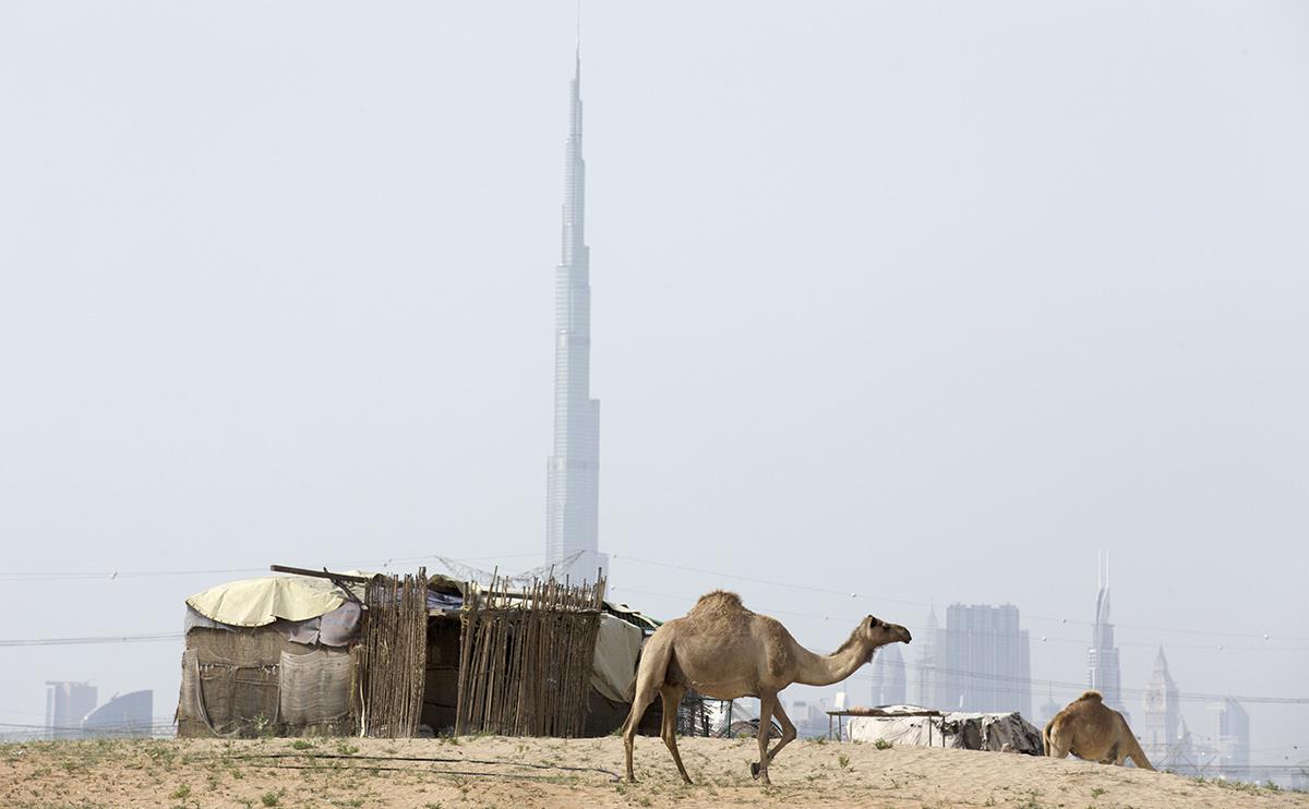 Фото: Warren Little / Getty Images