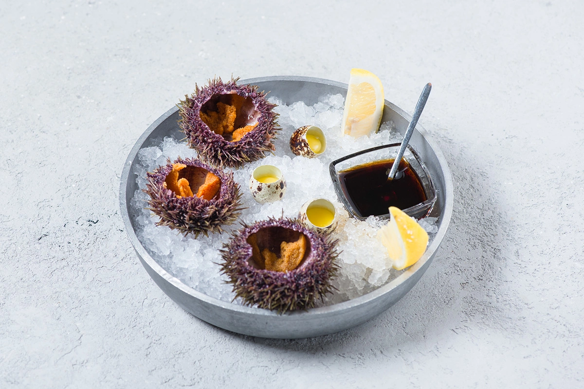 Морские ежи