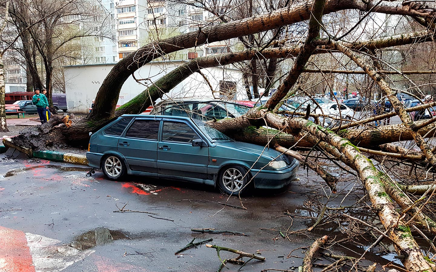 Ураган повалил деревья на машины в Москве