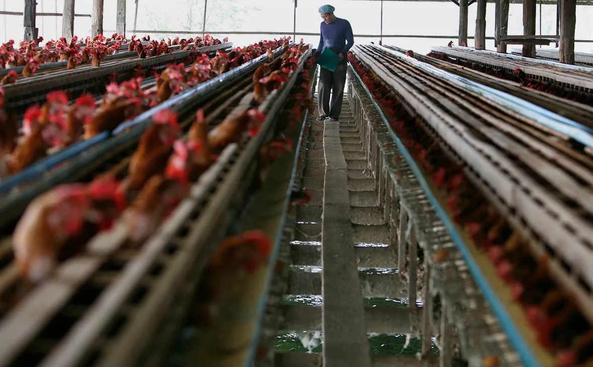 Paula Bronstein / Getty Images