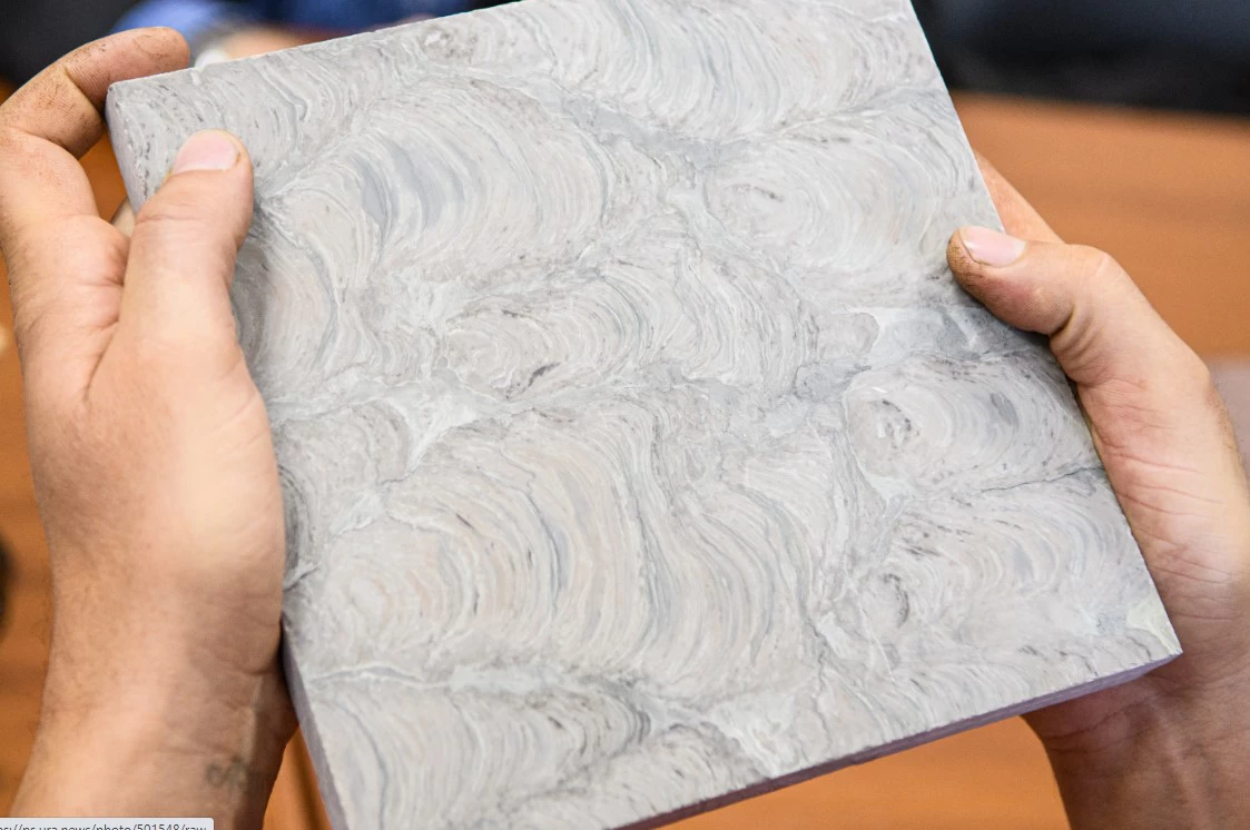 Владимир Жабриков / URA.RU 