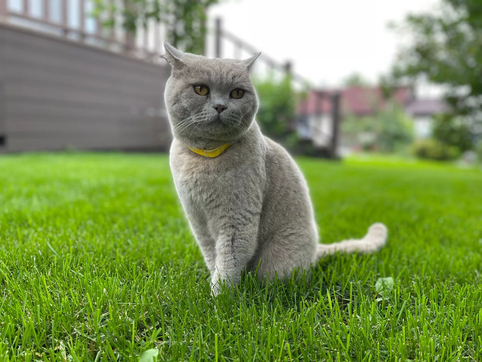 РБК Приморье