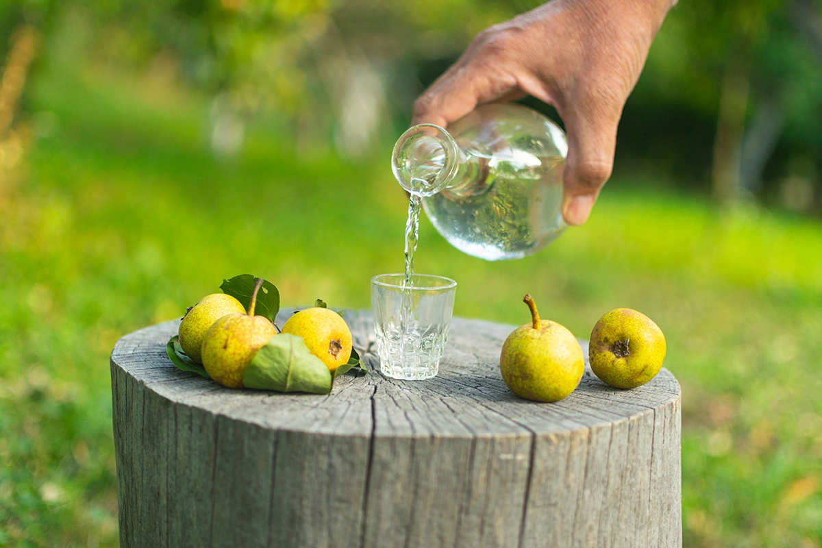 Rastkobelic / Shutterstock / FOTODOM
