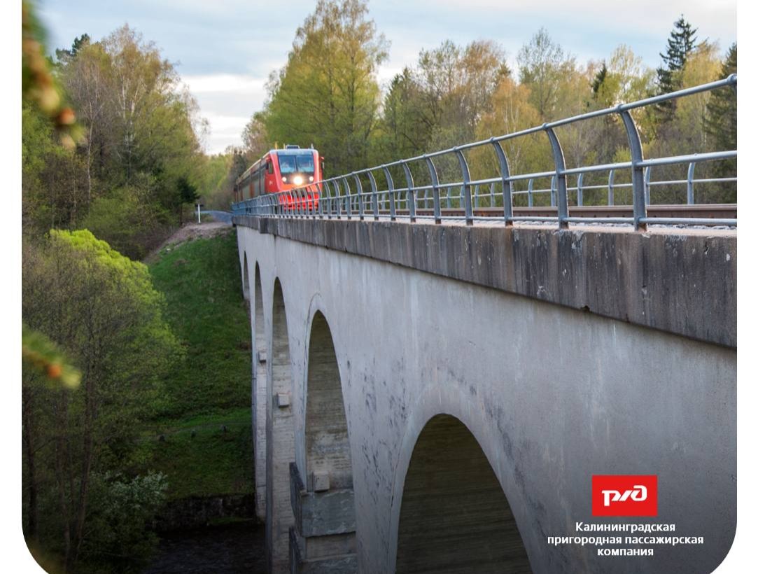 Фото: https://t.me/c/1552551950/20786