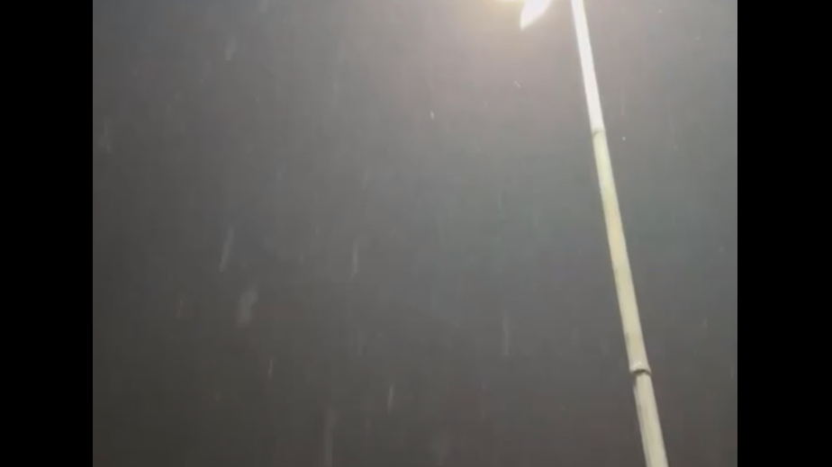 В Подмосковье выпал первый снег