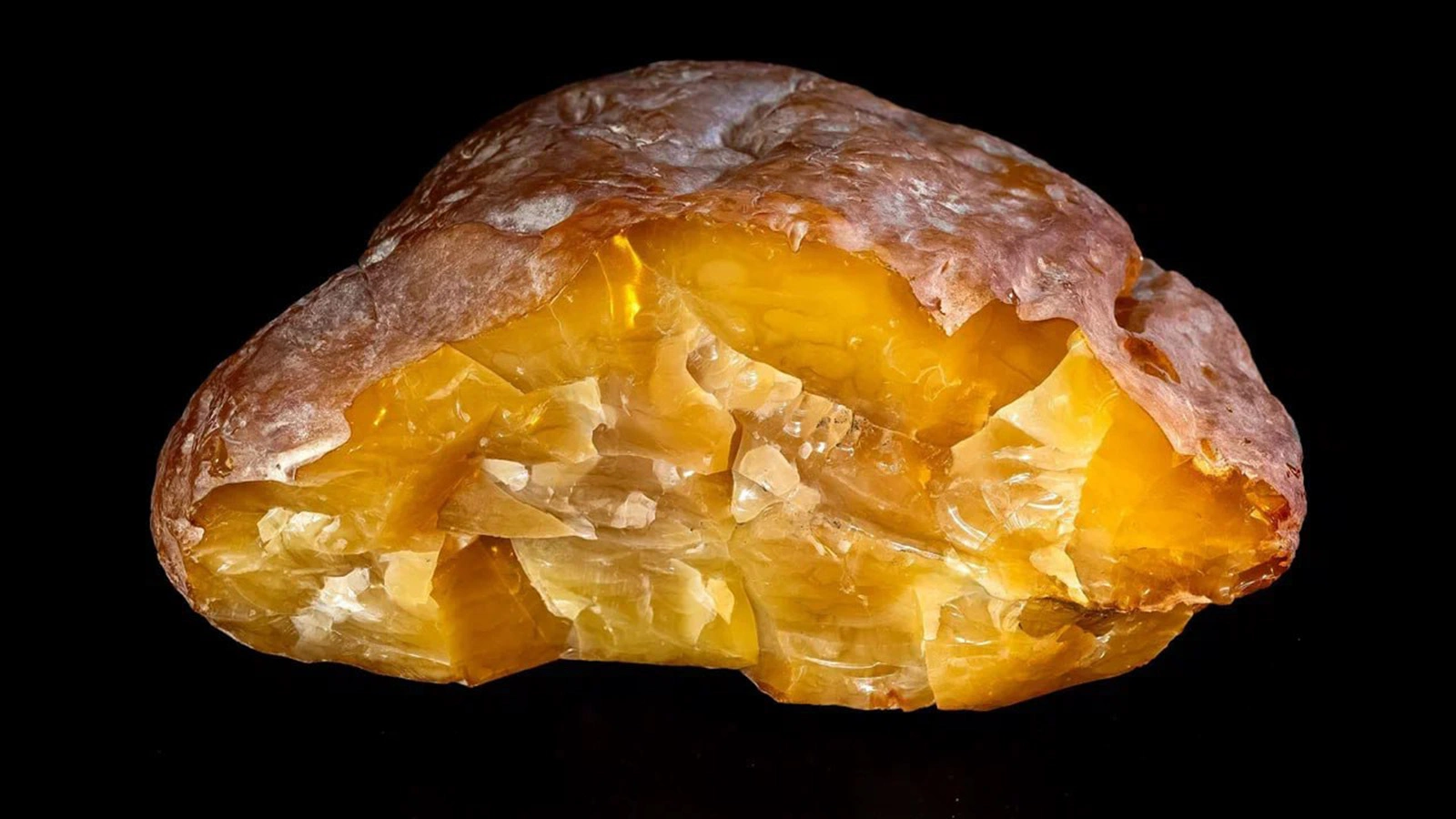 Самый крупный за четыре года самородок янтаря «Рекордсмен»