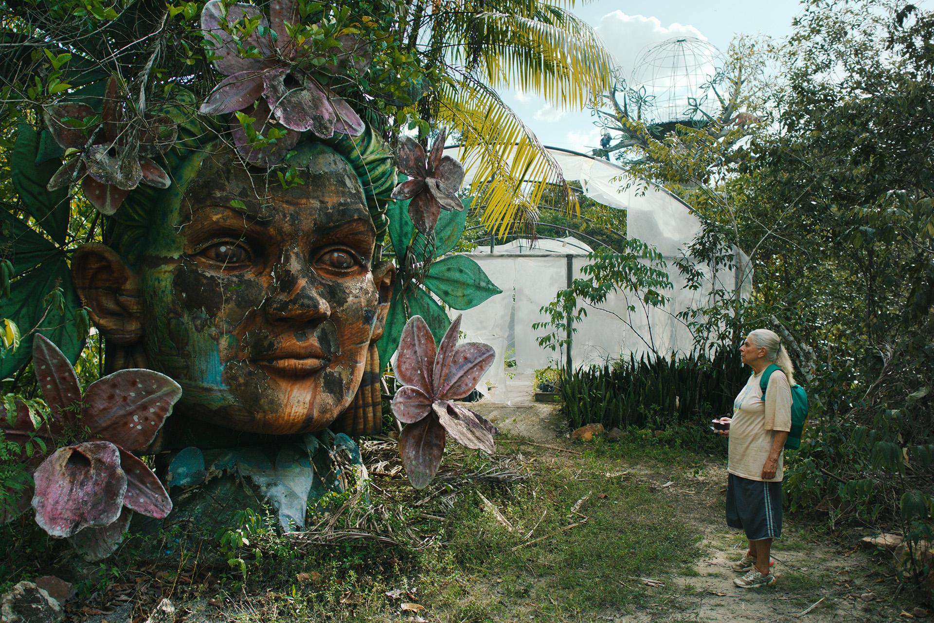 Каир-2025: фильмы про Газу, гинкго билоба и побег от авторитаризма