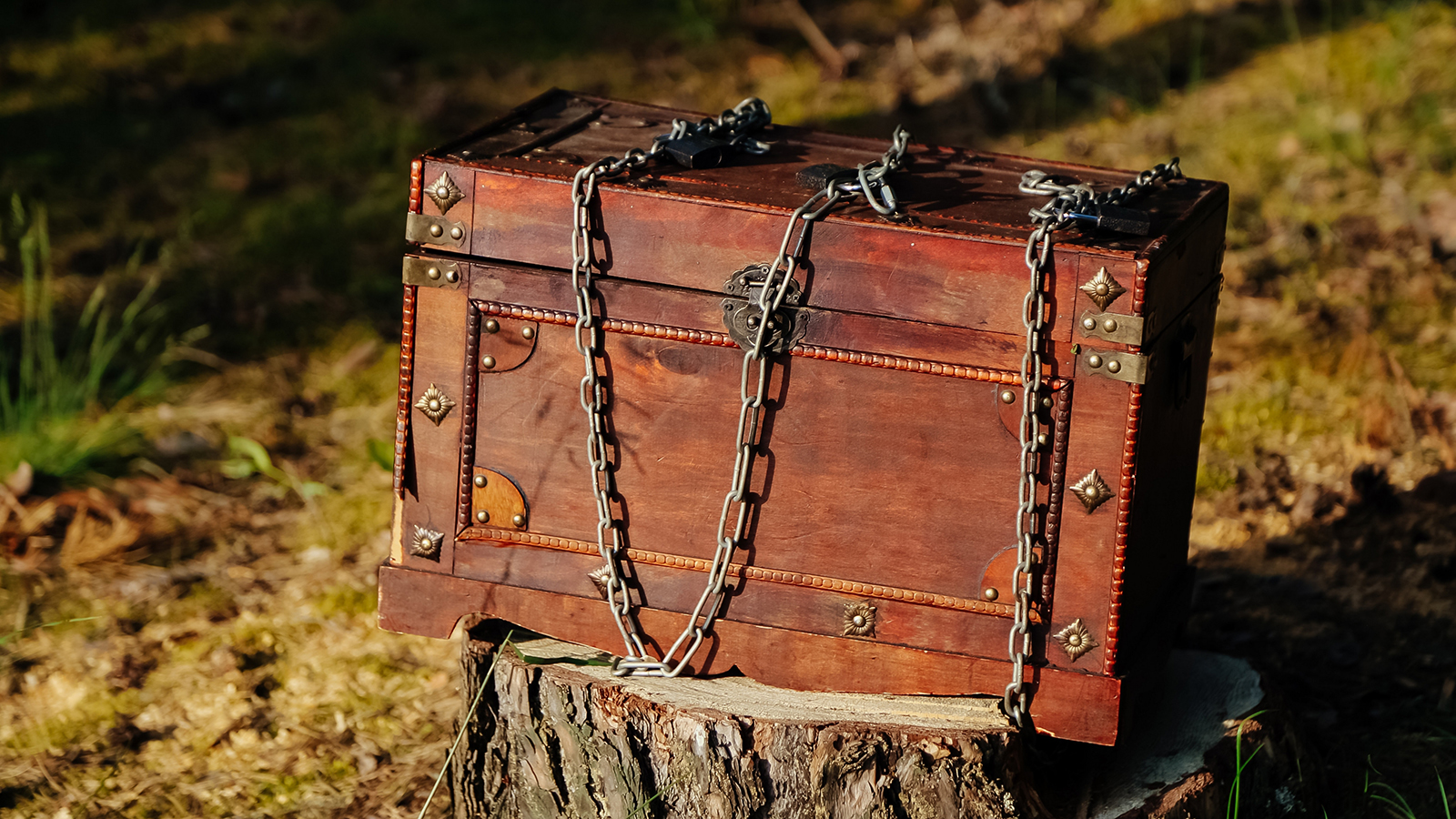 Что делать при обнаружении клада на даче. Ответил юрист Александр Куприян