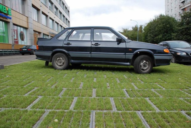 v novosibirske odobrili vvedenie shtrafa