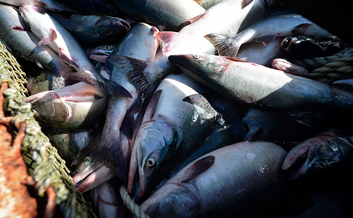 Юрий Смитюк / ТАСС