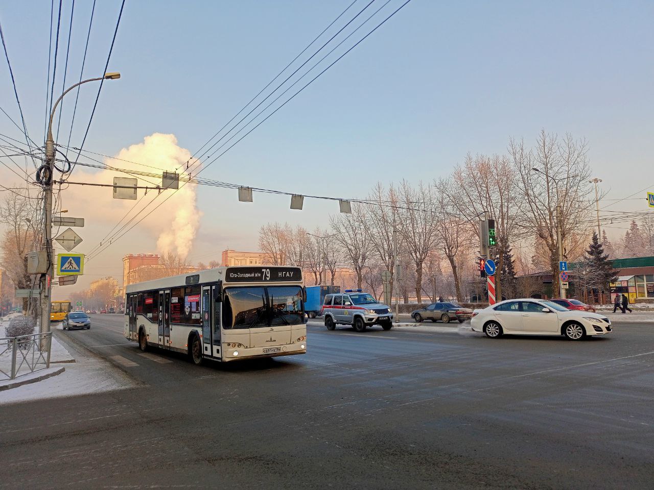 Фото: Алексей Коваленок/РБК Новосибирск