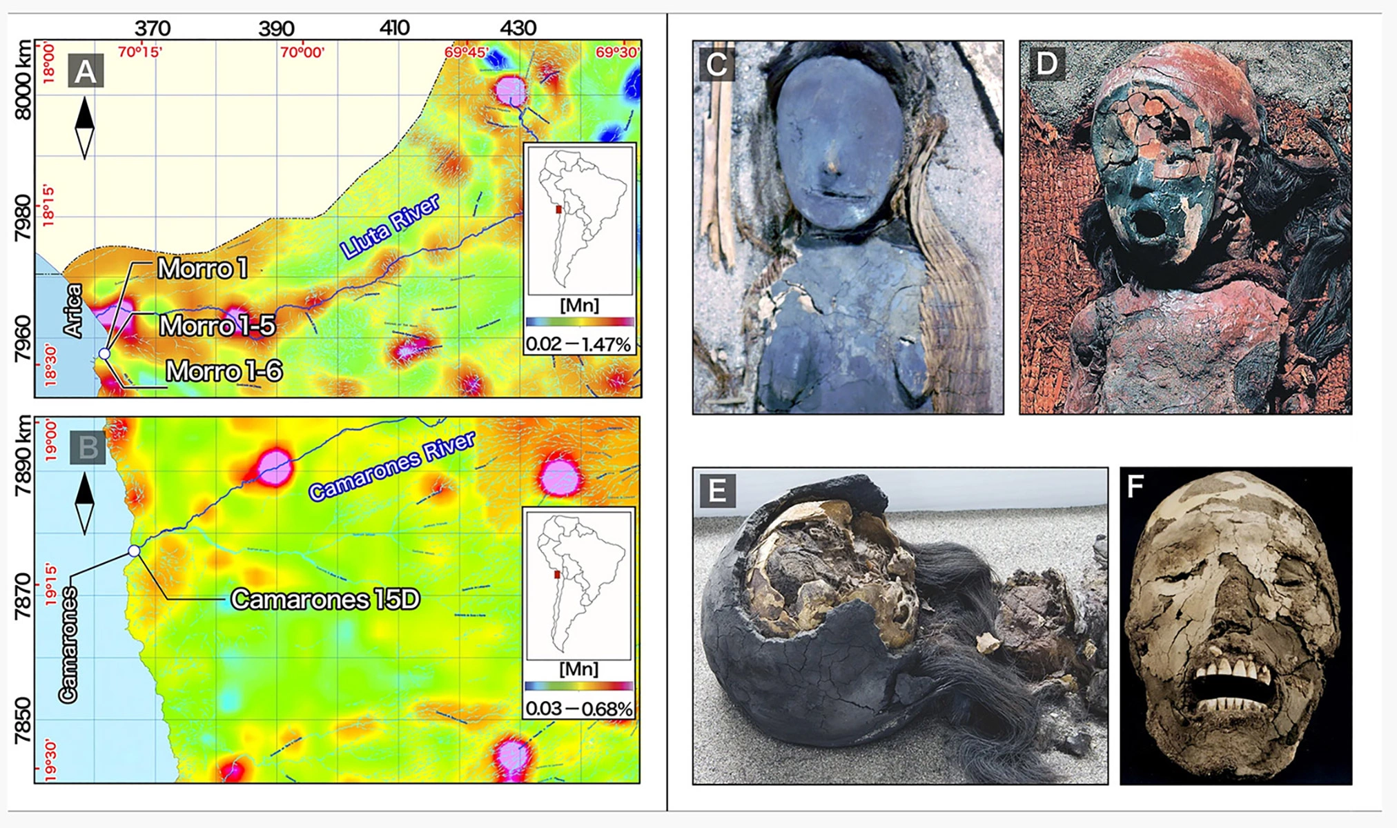 Образцы останков, которые исследовали ученые по руководством Бернардо Арриаса, и географическое указание на месторождение марганцовой руды рядом с обнаруженным захоронением мумий культуры чинчорро