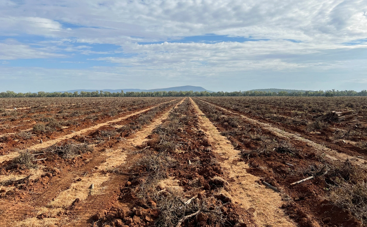 Peter Hobson / Reuters