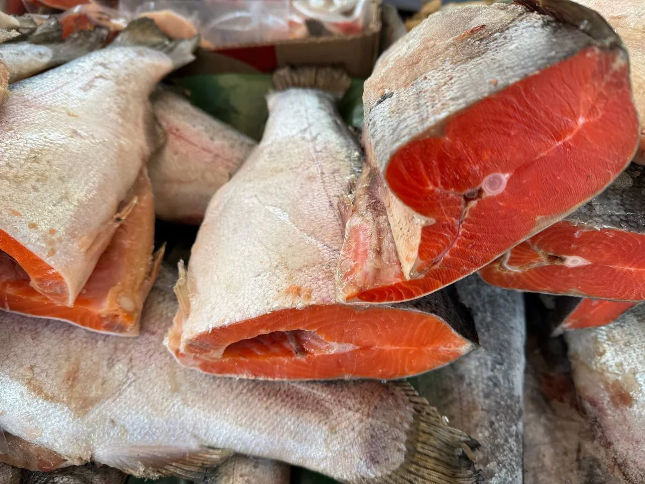 РБК Приморье