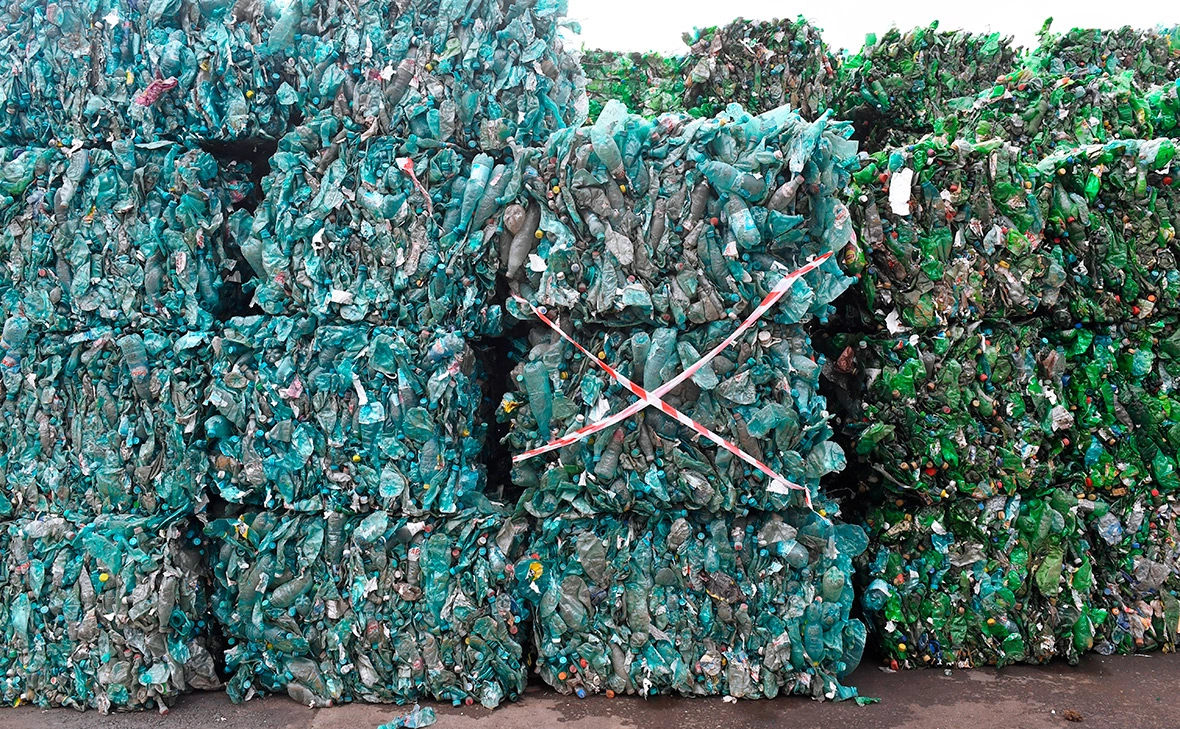 Сергей Мамонтов / РИА Новости