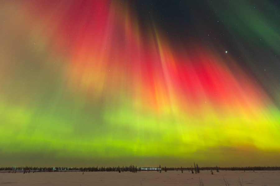 Новый Уренгой