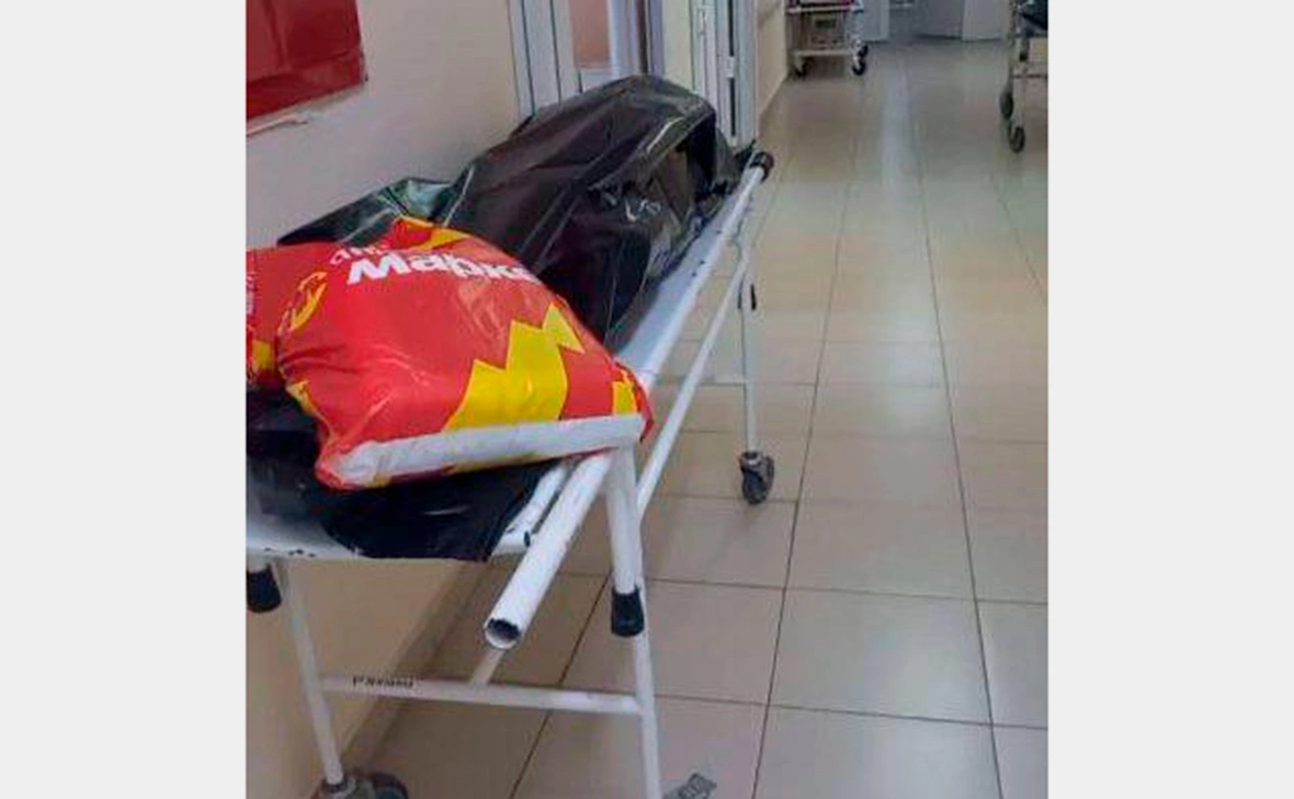 Hinshtein / Telegram