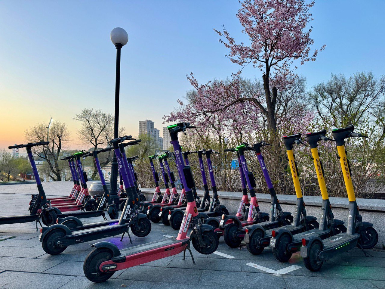 Фото: рБК Приморье