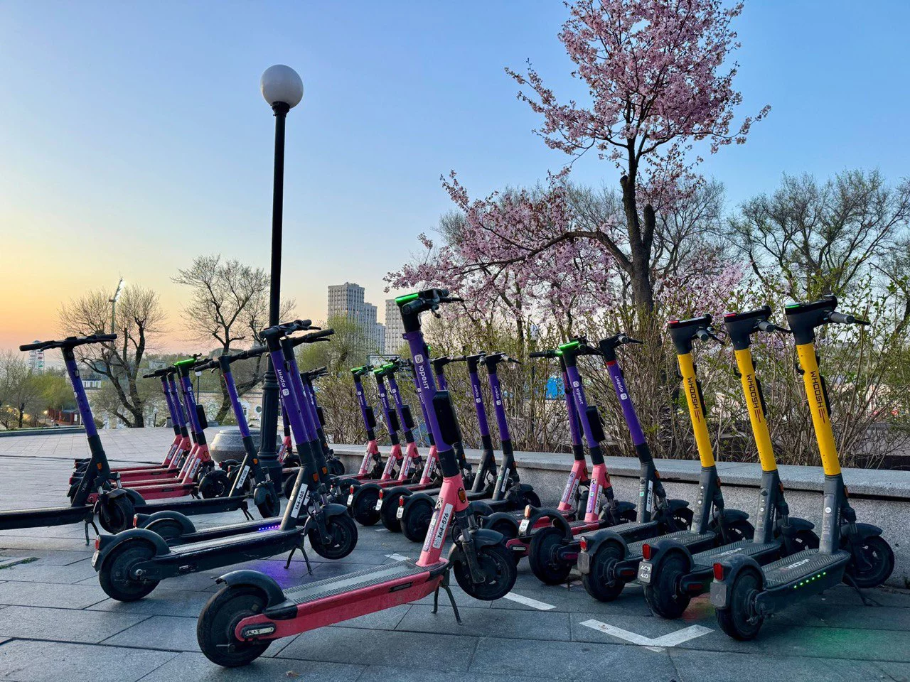 РБК Приморье