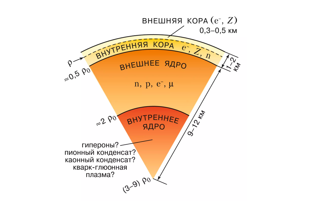 Схема строения нейтронной звезды