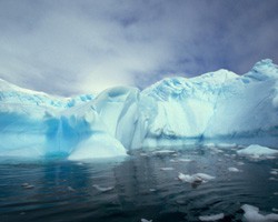Ученые нашли в Антарктиде древнего монстра