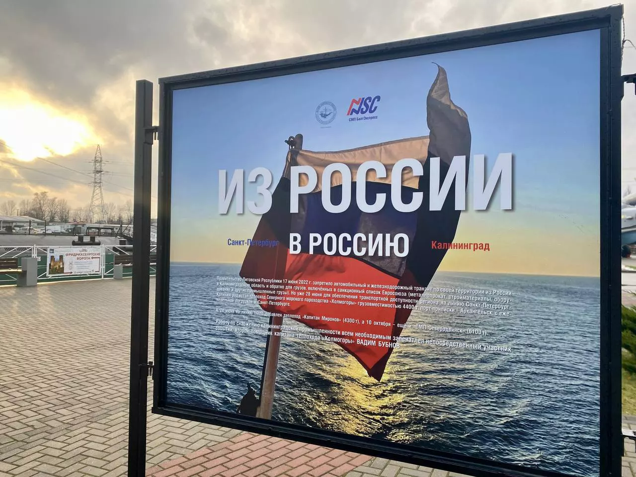 Алена Людвиг