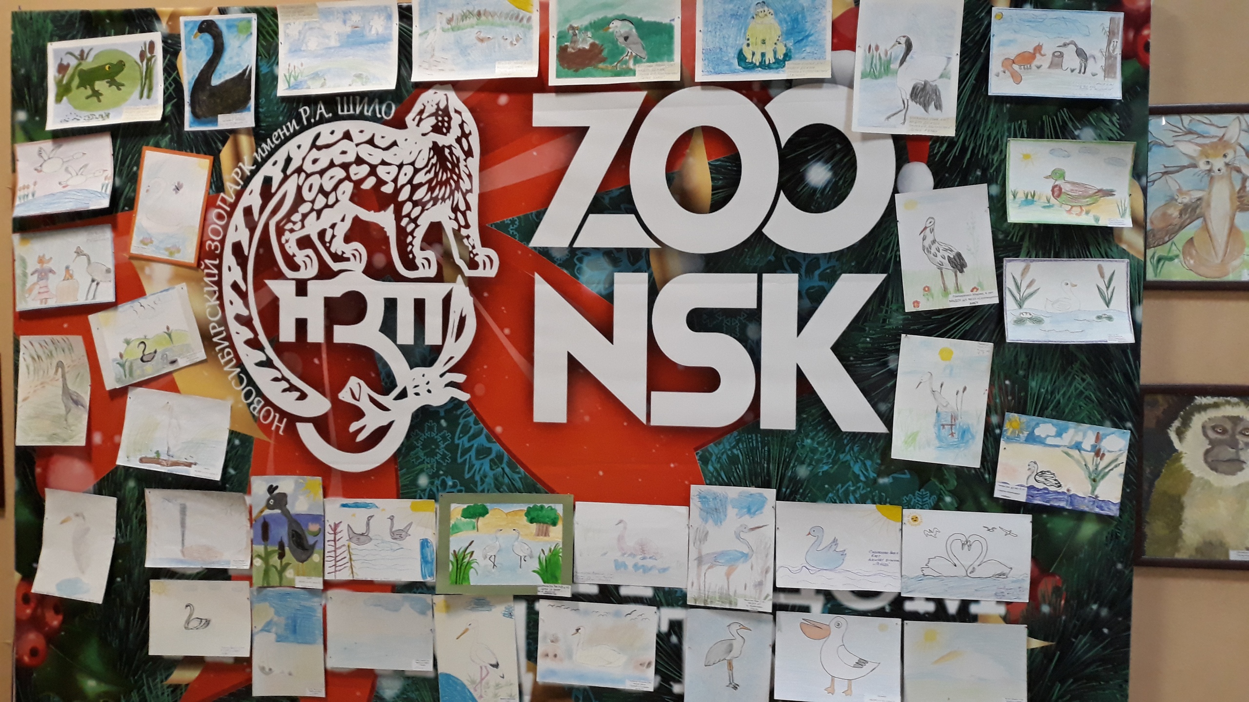 Фото: Пресс-служба Новосибирского зоопарка 