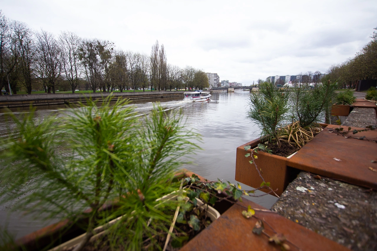 Александр Подгорчук