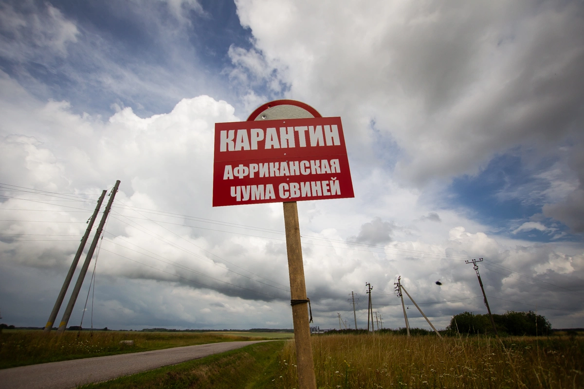 Александр Подгорчук