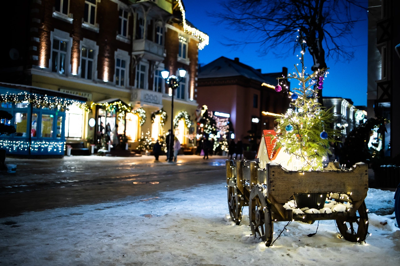 Александр Подгорчук