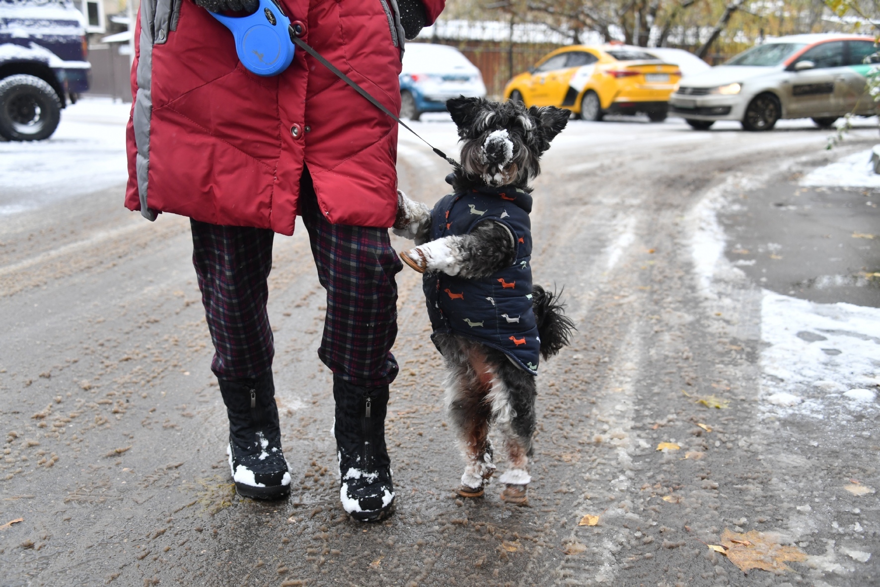 Фото: Комсомольская правда / PhotoXPress.ru