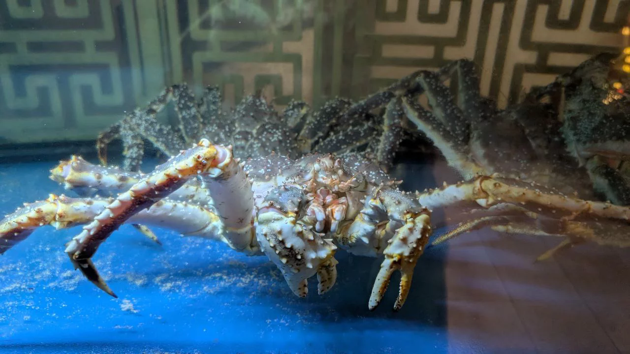 РБК Приморье