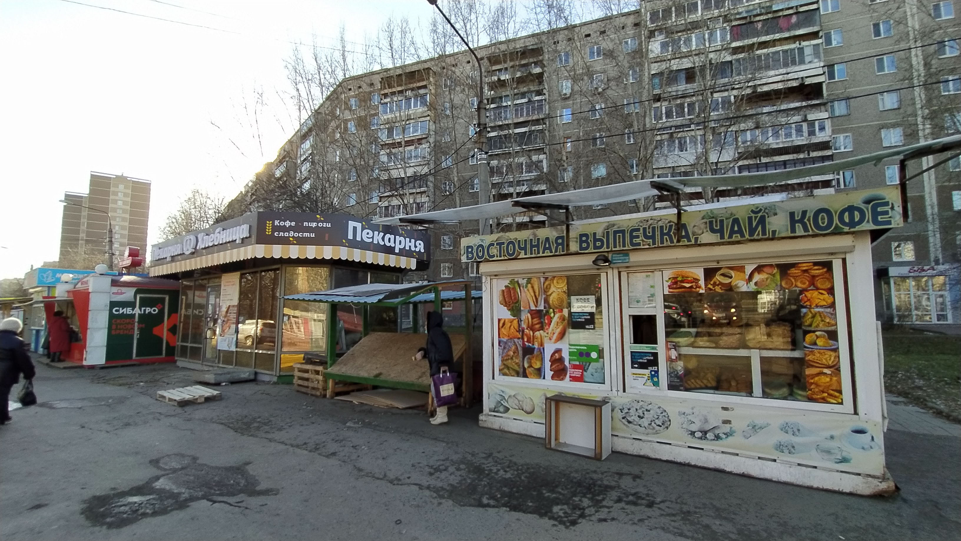 Фото: 66.RU