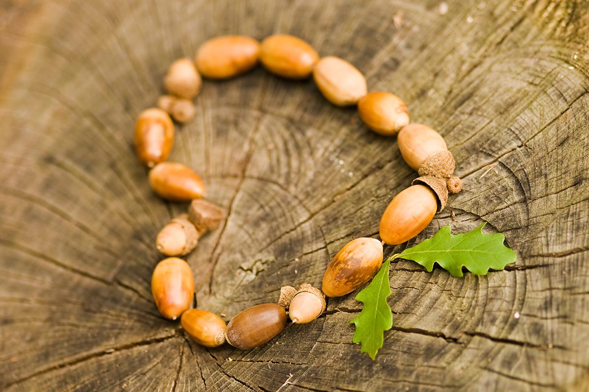 Оригинальное украшение для осеннего праздника в детском саду