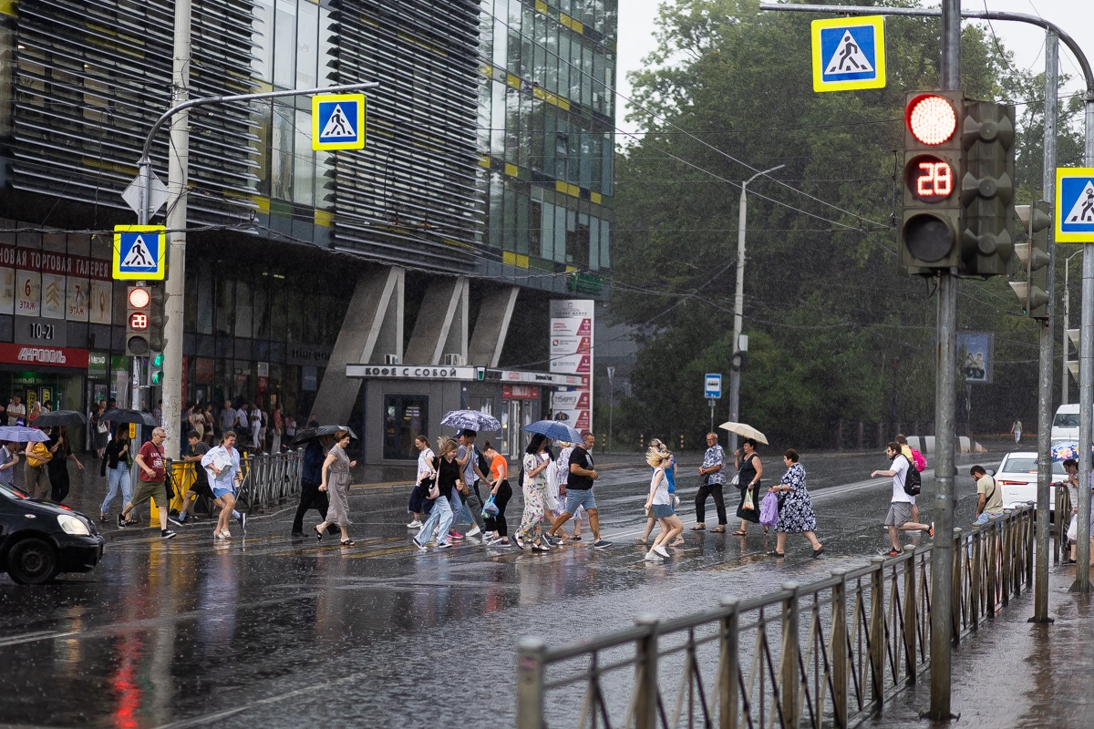Александр Подгорчук