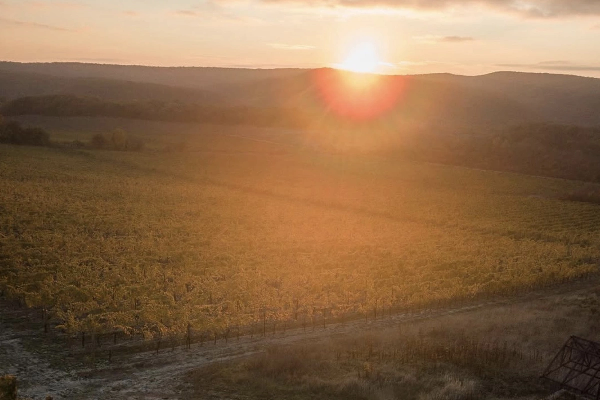 «Галицкий и Галицкий»
