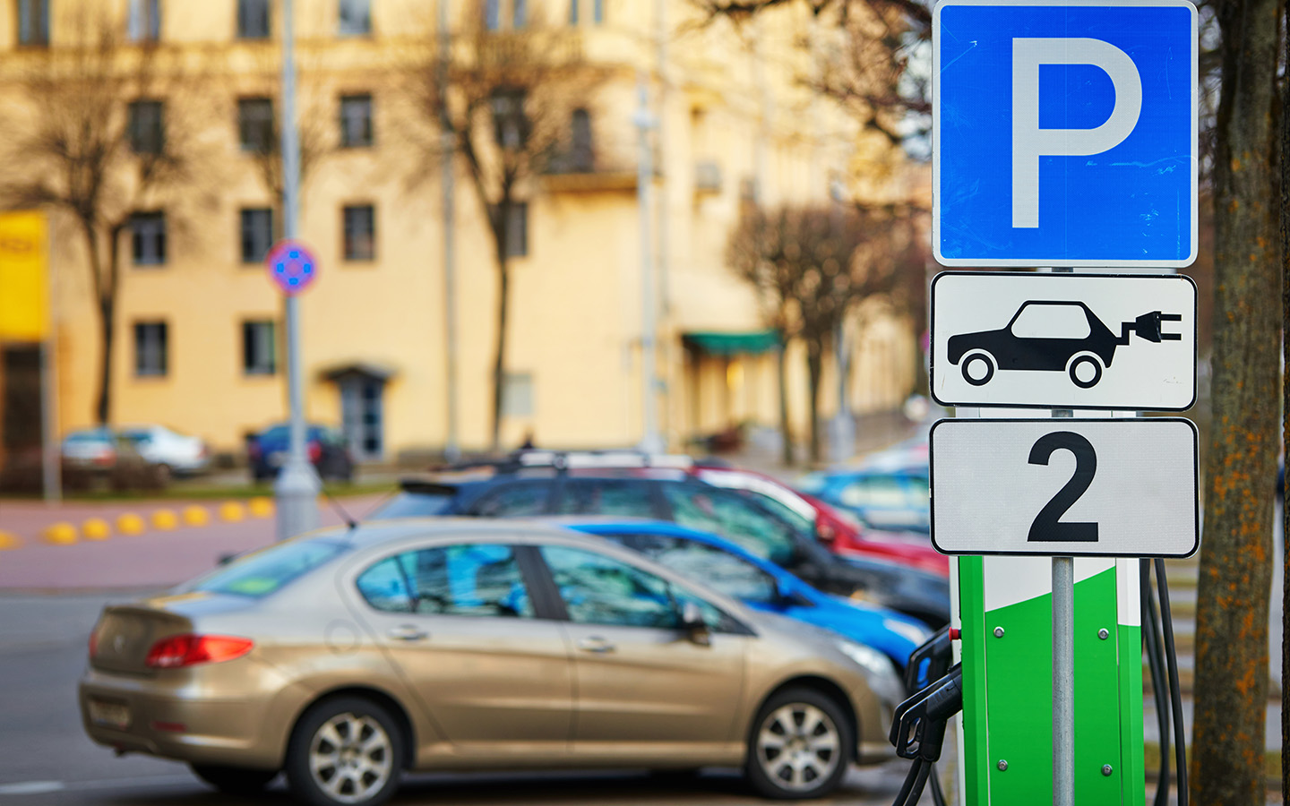 Фото: Tricky_Shark / Shutterstock / FOTODOM