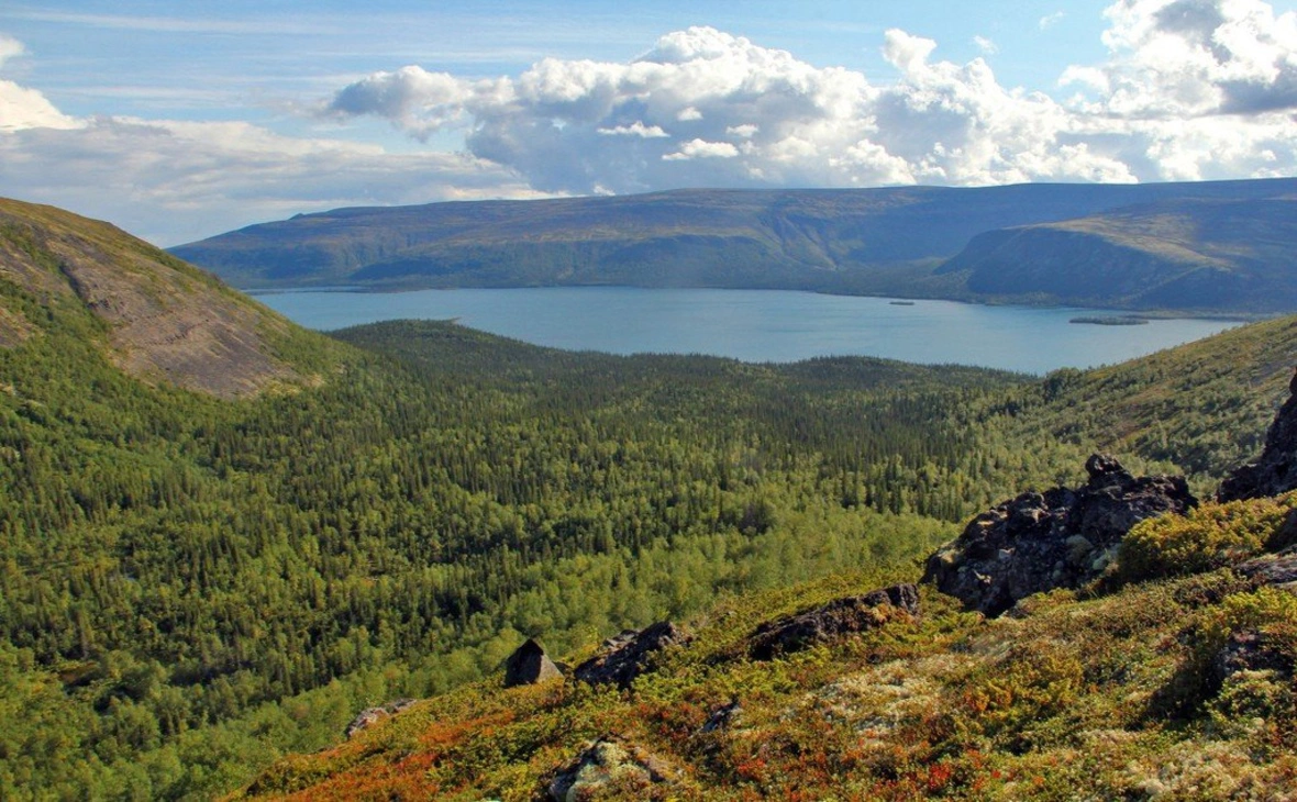 gov-murman.ru